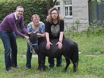 Drei Redakteure und ein Pony: Die FT-Lokalredaktion geht auf Sommertour. Foto: Marina Weirich