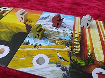 Brettspiele im Test - die 13 besten Familienspiele für Zwischendurch