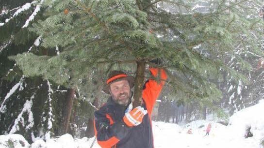 Nicht einmal fünf Minuten hat Reinhard Boxdörfer gebraucht, bis er seinen Baum gefunden hat und das ist bei weitem nicht seine Bestzeit, sagt er selbst