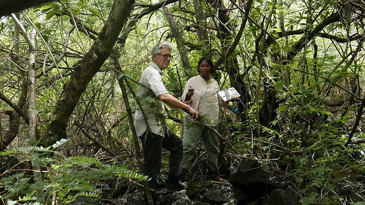 Mitten im Wald stoßen Daniel Krieg und Jayschree Mungur-Medhi auf die Überreste einer bis dahin unbekannten Siedlung.