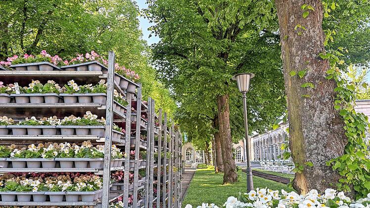 Konzept und Planung spielen bei der Sommerbepflanzung eine wichtige Rolle. Rund 19.000 Pflanzen werden in Bad Kissingen in die Beete gesetzt.