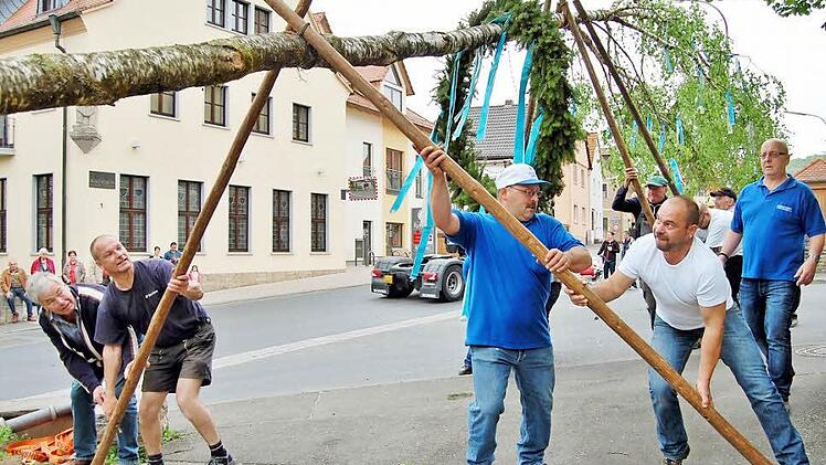 Nüdlinger Maibaum wird mit Hilfe langer Stangenpaare in seiner Halterung aufgerichtet. Fotos: Sigismund von Dobschütz