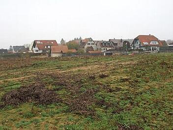 Auf diesem Acker am südwestlichen Ortsrand von Neuhaus soll das Baugebiet Steigerwaldblick entstehen.  Foto: Andreas Dorsch
