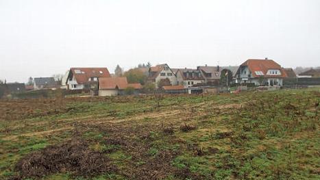 Auf diesem Acker am südwestlichen Ortsrand von Neuhaus soll das Baugebiet Steigerwaldblick entstehen.  Foto: Andreas Dorsch