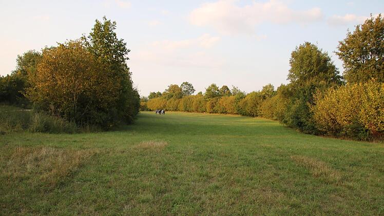 Die Wallanlage des einstigen keltischen Oppidums (rechts) ist mit Sträuchern und Büschen bewachsen; hier befand sich das östliche Zangentor. Foto: Matthias Einwag