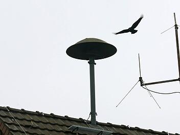 Am Samstag führt das Landratsamt Bamberg einen Probealarm durch. Symbolfoto: Roland Weihrauch/dpa