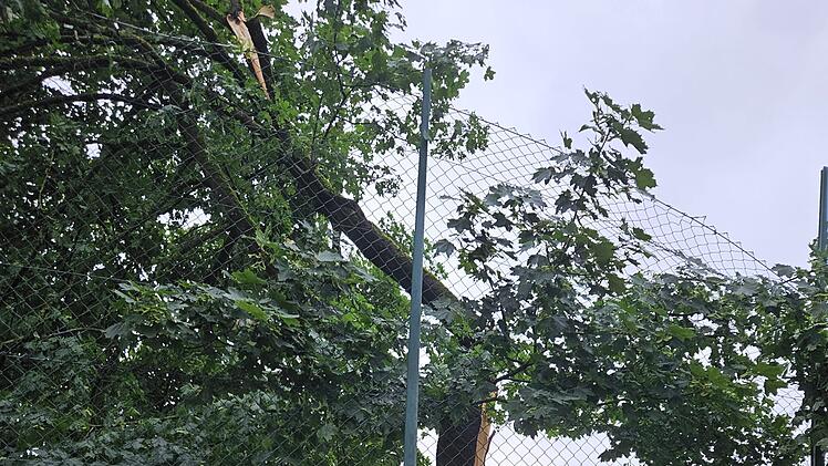 Marktrodach von Unwetter gebeutelt - verwüstete Friedhöfe, umgestürzte Bäume, geschlossenes Freibad