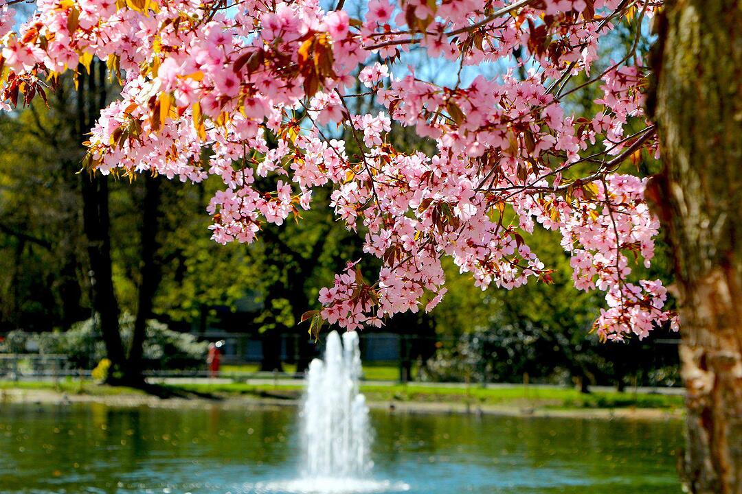 Das war der Sommer 2015 in Franken