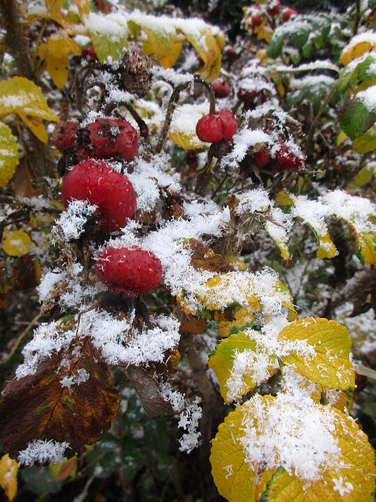 Erster Schnee in Oberfranken