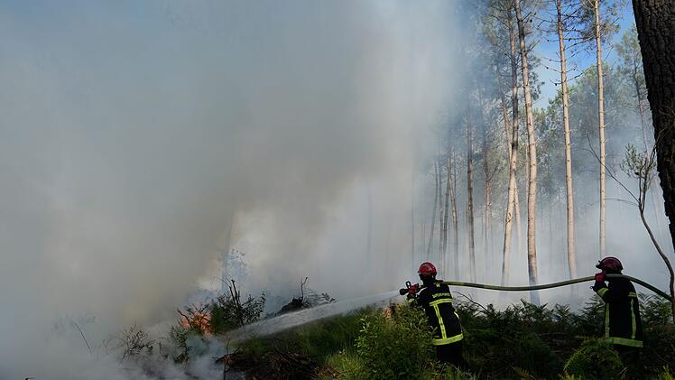 Waldbr&auml;nde in Frankreich