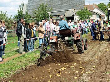 Ein Roder schleudert die Kartoffeln aus dem Boden auf die Erde.   Fotos: Johanna Blum