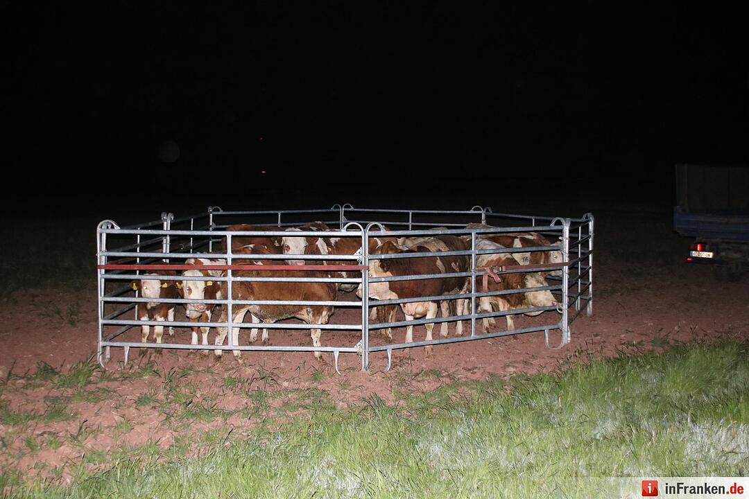 Hoher Schaden bei Stallbrand bei Nüdlingen