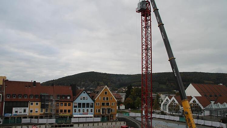 So wächst der Riesenkran