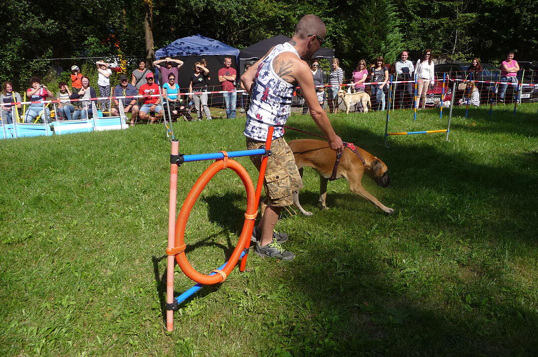 19.8.2017 Tierheimfest Kulmbach