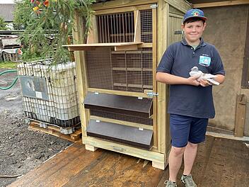Moritz Wahn - mit einer seiner Brieftauben vor dem neuen "Leih-Taubenschlag"- ist das j&uuml;ngste Mitglied im Taubenverein "Heimatliebe" Volkers.