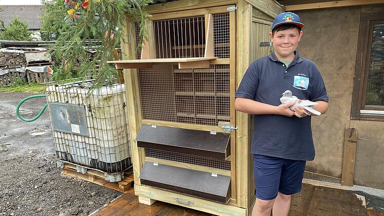 Moritz Wahn - mit einer seiner Brieftauben vor dem neuen "Leih-Taubenschlag"- ist das j&uuml;ngste Mitglied im Taubenverein "Heimatliebe" Volkers.