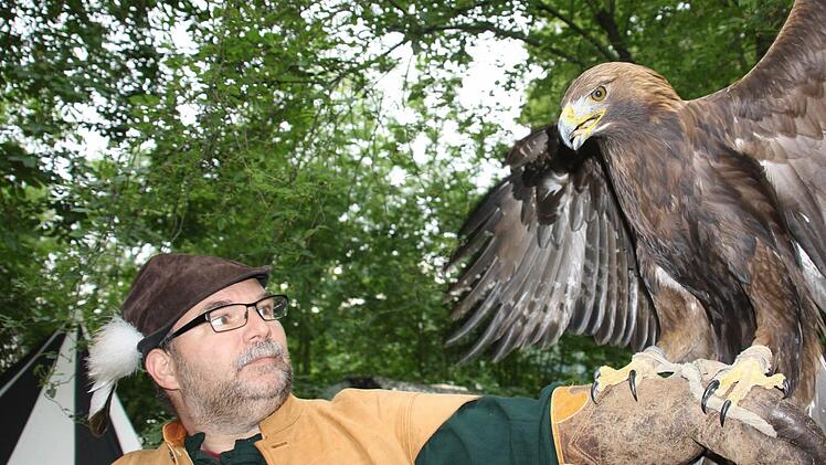 Wenn Steinadler Aslan die Flügel ausbreitet und seinen stechenden Blick auf einen richtet, möchte man keinesfalls ein Hase oder eine Maus sein...  Fotos: Diana Fuchs