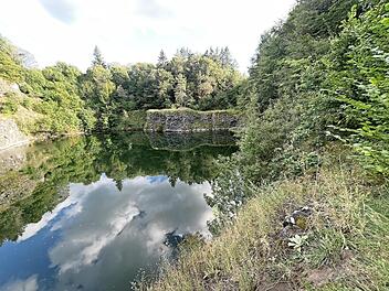 Erstmals ist eine Nacht der Begegnung im Sternenpark Rh&ouml;n mit Musik, Mondf&uuml;hrung und ganz besonderen Nachttieren am Tintenfass geplant.