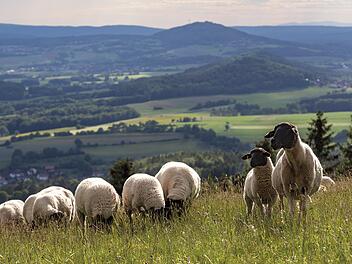 Hintergründe zur Natur aber auch zur Nachhaltigkeit  sollen im Naturerlebniszentrum vermittelt werden.