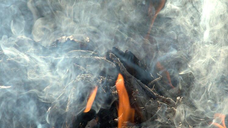 Mehrere Brände in einem Wald legten Kinder aus Schwabach am Samstagnachmittag. Die Feuerwehr konnte Schlimmeres verhindern. Symbolfoto: werner22brigitte/pixabay.com