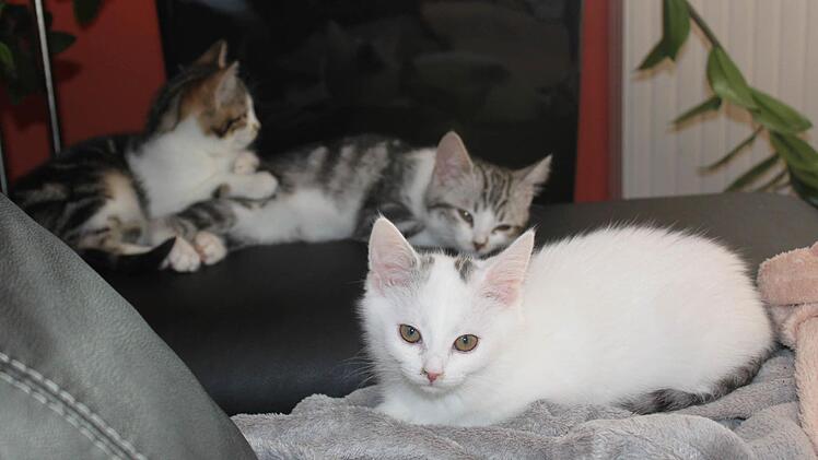Foto: Anette Schreiber