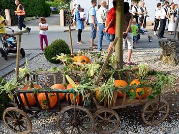 Kürbisse allerorten: Jetzt geht es in und um Altendorf wieder "rund". Fotos: Andrea Spörlein