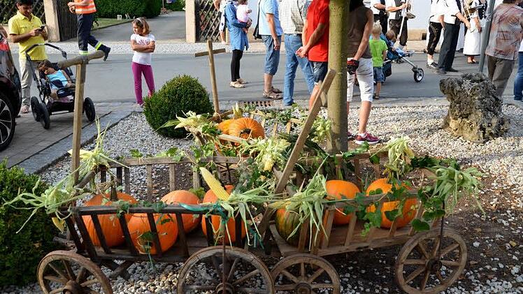 Kürbisse allerorten: Jetzt geht es in und um Altendorf wieder "rund". Fotos: Andrea Spörlein