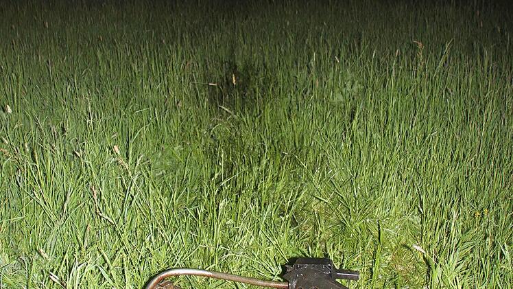 Motor und Getriebe des Ford KA wurden in eine Wiese geschleudert. Im Hintergrund zwischen den Feuerwehrleuten der Jaguar.  Foto: Friedwald Schedel
