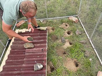 Tiergarten N&uuml;rnberg: Neue Heimat f&uuml;r Europ&auml;ische Ziesel - vier Tiere ausgewildert
