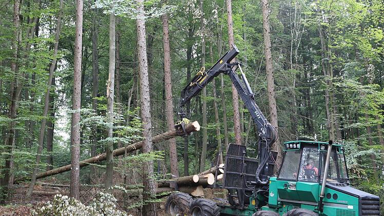 Beim Holzrücken werden große Mengen Holz - "Festmeter" - bewegt.