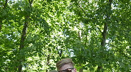 Vorschaubild