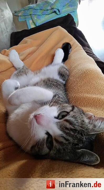 Foto: Melanie Wahler