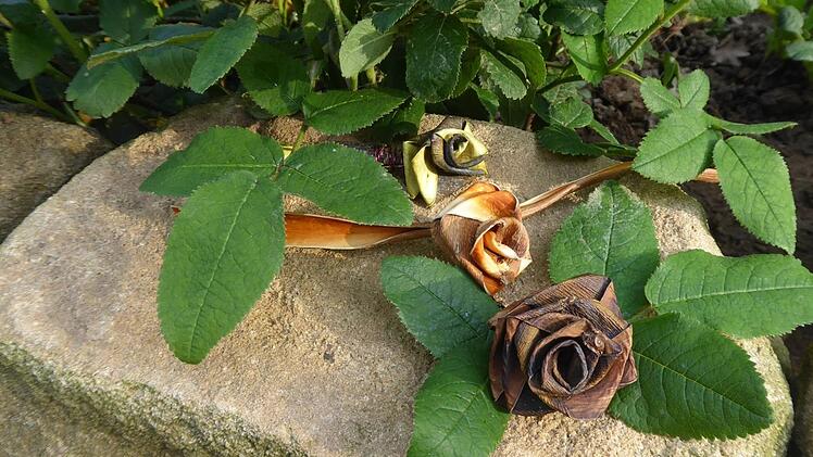 Rosenblüten aus Weidenrinde, hergestellt von Gitti Klitzner. privat