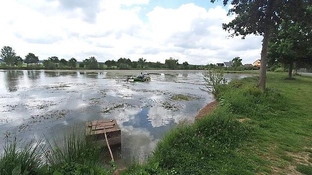 Der Eisweiher wurde mit dem M&auml;hboot zumindest zur H&auml;lfte vom Laichkraut befreit.  Foto: privat