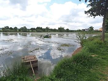 Der Eisweiher wurde mit dem Mähboot zumindest zur Hälfte vom Laichkraut befreit.  Foto: privat