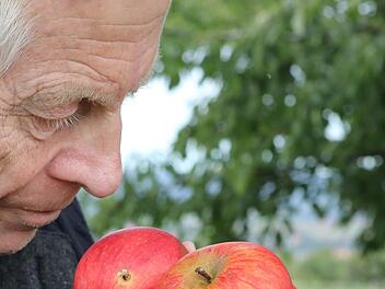 Die Rote Renette ist ein alter Kulturapfel: Auf einer Streuobstwiese in Gaiganz hat Wolfgang Subal die Sorte gefunden. Foto: Barbara Herbst