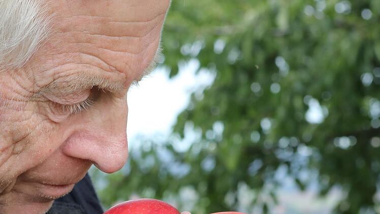 Die Rote Renette ist ein alter Kulturapfel: Auf einer Streuobstwiese in Gaiganz hat Wolfgang Subal die Sorte gefunden. Foto: Barbara Herbst