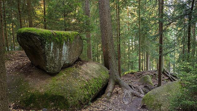 Das Felsenlabyrinth ist ein Paradies für Kinder