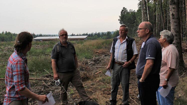 Kein schöner Übergang: Die Forstverwaltung bietet an, einen Waldrand am Gewerbegebiet Buchrasen anzulegen, um den Baumbestand zu schützen.    Foto: Julia Raab