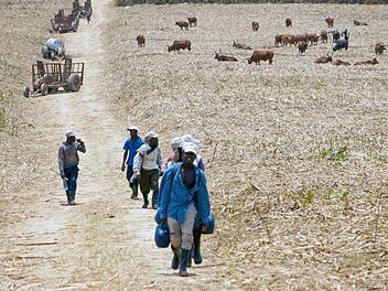 Die verheerenden Lebensbedingungen in Haiti zwingen jedes Jahr Tausende Arbeiter zur Flucht in die Dominikanische Republik, wo sie auf den Zuckerrohr-Plantagen arbeiten.
