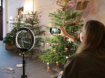 Korinna Lerch von der Tourist-Information hat die sieben geschmückten Weihnachtsbäume im Kellereischloss für die Online-Abstimmung fotografiert.