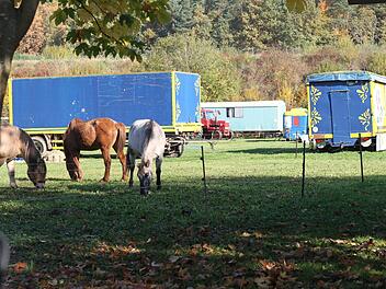 Der Zirkus Bügler gastiert noch auf dem Bolz- und Festplatz in Harsdorf. Am Mittwoch aber muss er weiterziehen.Nützel