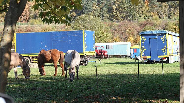 Der Zirkus Bügler gastiert noch auf dem Bolz- und Festplatz in Harsdorf. Am Mittwoch aber muss er weiterziehen.Nützel