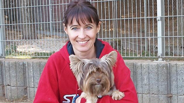 Die Tierschutzberaterin Alexandra H&uuml;mmer pr&auml;sentiert hier einen sch&ouml;nen Yorkshire-Terrier, der sich zurzeit als Pensionsgast im Tierheim befindet. Fotos: Alfred Thieret