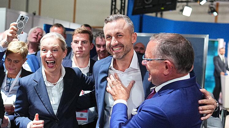 Landtagswahl in Sachsen-Anhalt - AfD
