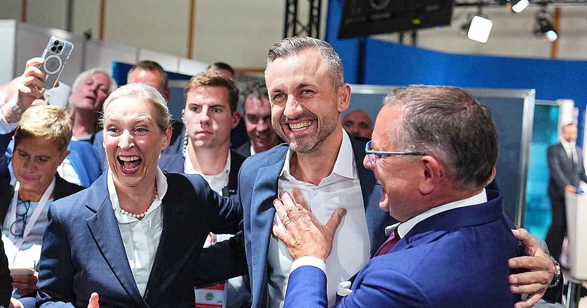 Election in Saxony-Anhalt: Weidel attacks the CDU/CSU - | 'Never ...