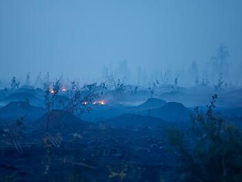 Waldbrand in Belgien