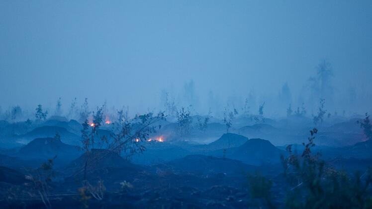 Waldbrand in Belgien