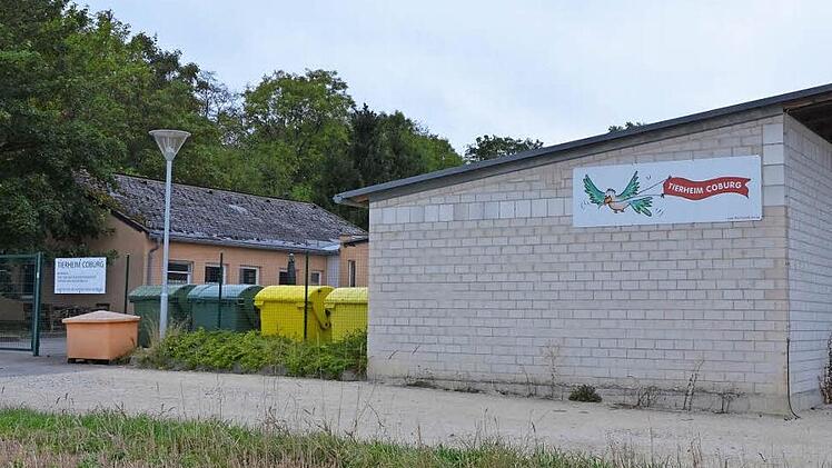 Das Coburger Tierheim wurde mehrfach Ziel von Einbrechern. Damit soll es jetzt vorbei sein. Fotos: Rainer Lutz