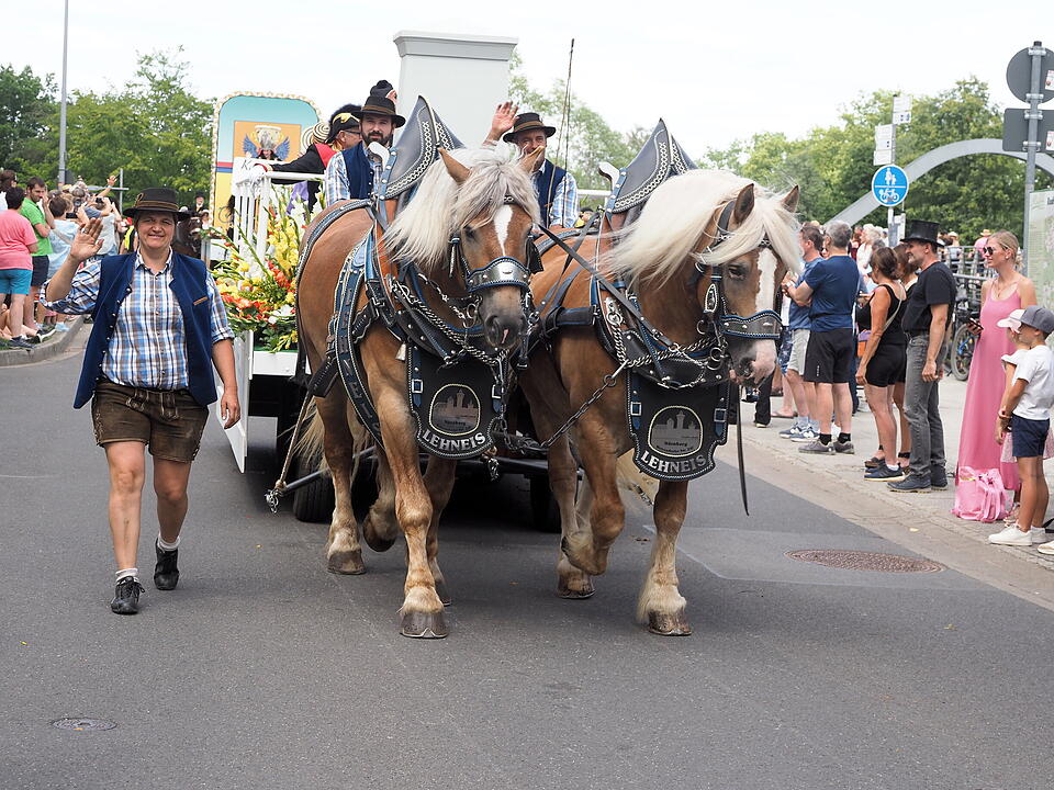 Der sonnt&auml;gliche H&ouml;hepunkt des Rakoczy-Fest.